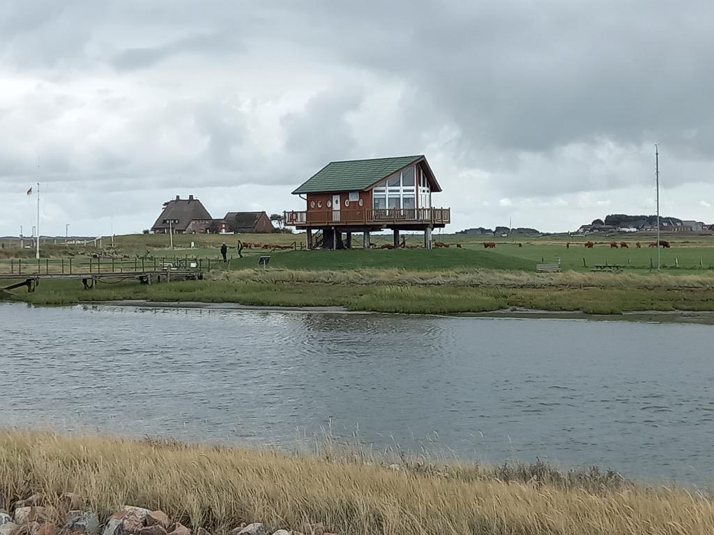 SchleswigKappeln (246)